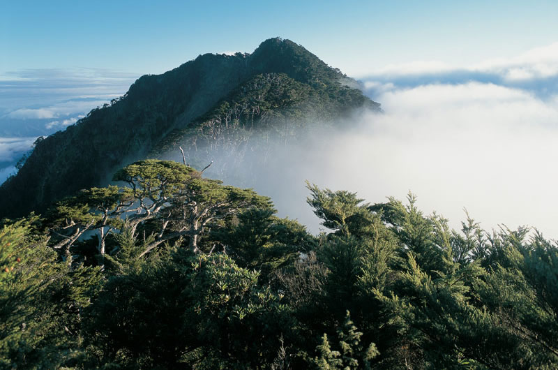 列為「台灣五嶽」之一的北大武山，位於屏東縣瑪家鄉、泰武鄉及台東縣金峰鄉的交界處，中央山脈主脊的最南端，標高 3092 公尺，一等三角點，是南台灣唯一超過 3000 公尺以上的山峰，因此有「南台灣屏障」的雅號，最近更被尊稱為「聖山」。